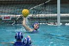 WWPolo vs CC  Wheaton College Women’s Water Polo compete in their sports inaugural match vs Connecticut College. - Photo By: KEITH NORDSTROM : Wheaton, water polo, inaugural